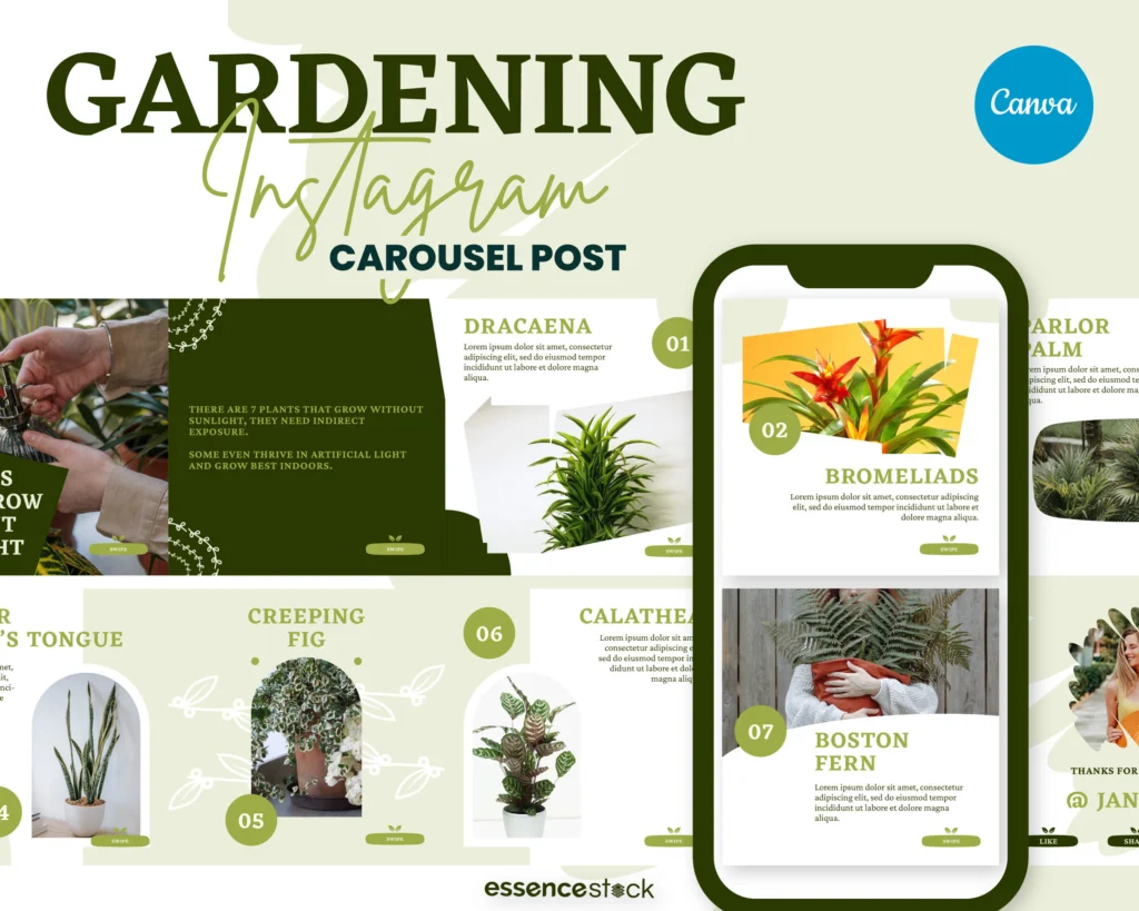instagram mock up for a carousel post for gardening